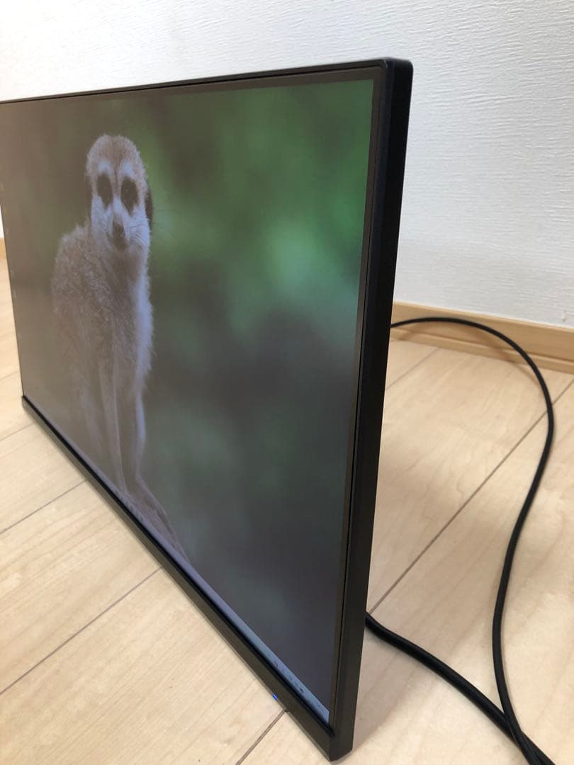 IO-DATA 高解像度LEDディスプレイLCD-MQ241XDB ＋壁掛アーム