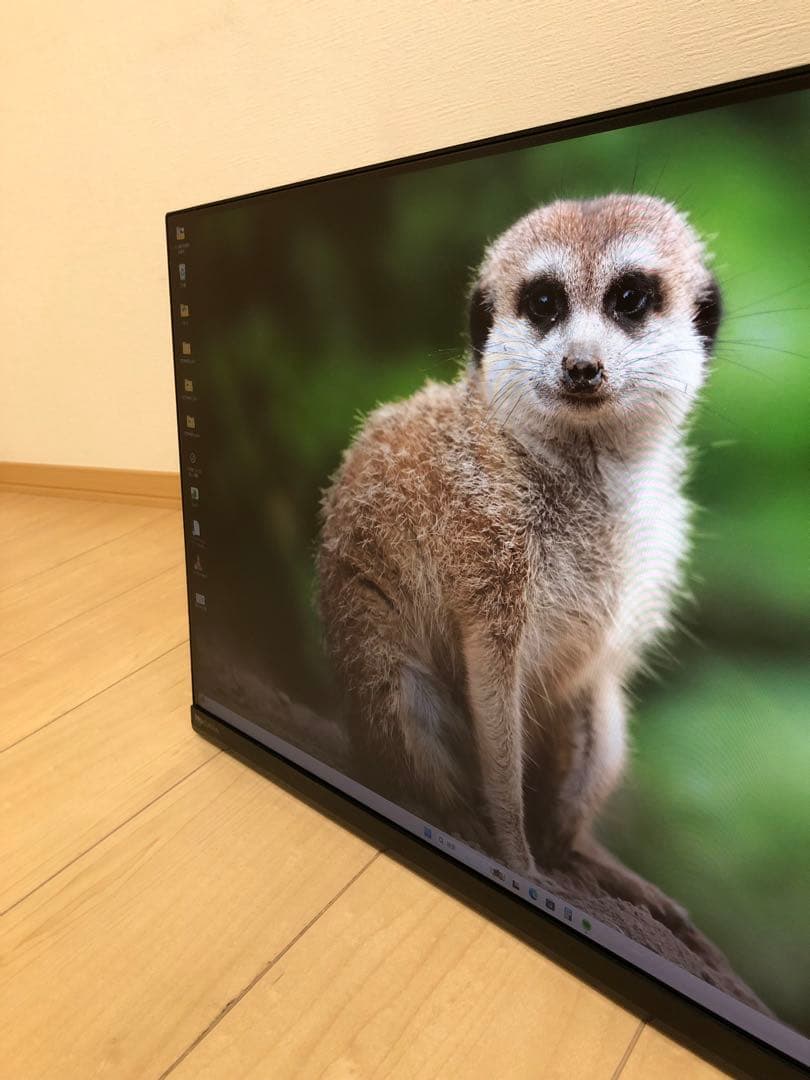 IO-DATA 高解像度LEDディスプレイLCD-MQ241XDB ＋壁掛アーム