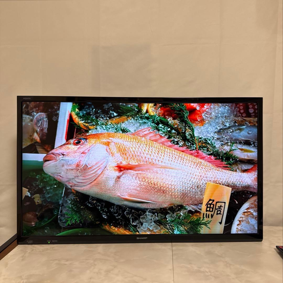 美品 SHARP 2019年製 32V型 AQUOS LED液晶テレビ 外付対応