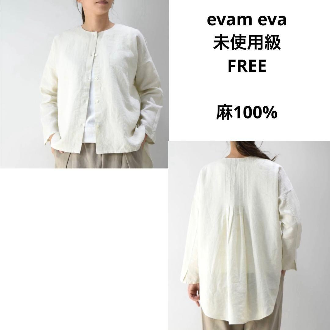 未使用級✨evam eva 水撚りリネンノーカラー 長袖ブラウス アイボリー F