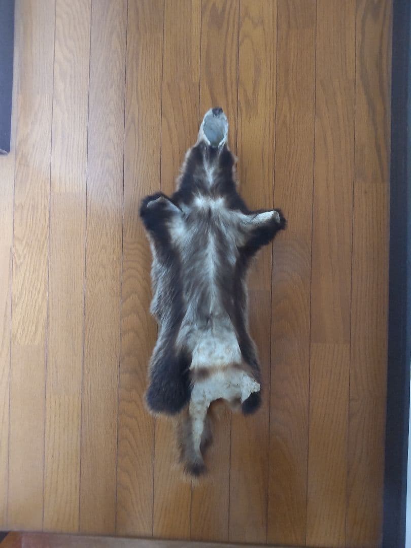 アナグマの鞣し毛皮[ハンドメイド]