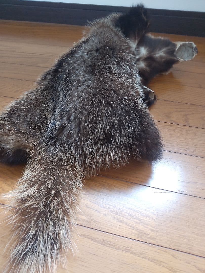 アナグマの鞣し毛皮[ハンドメイド]
