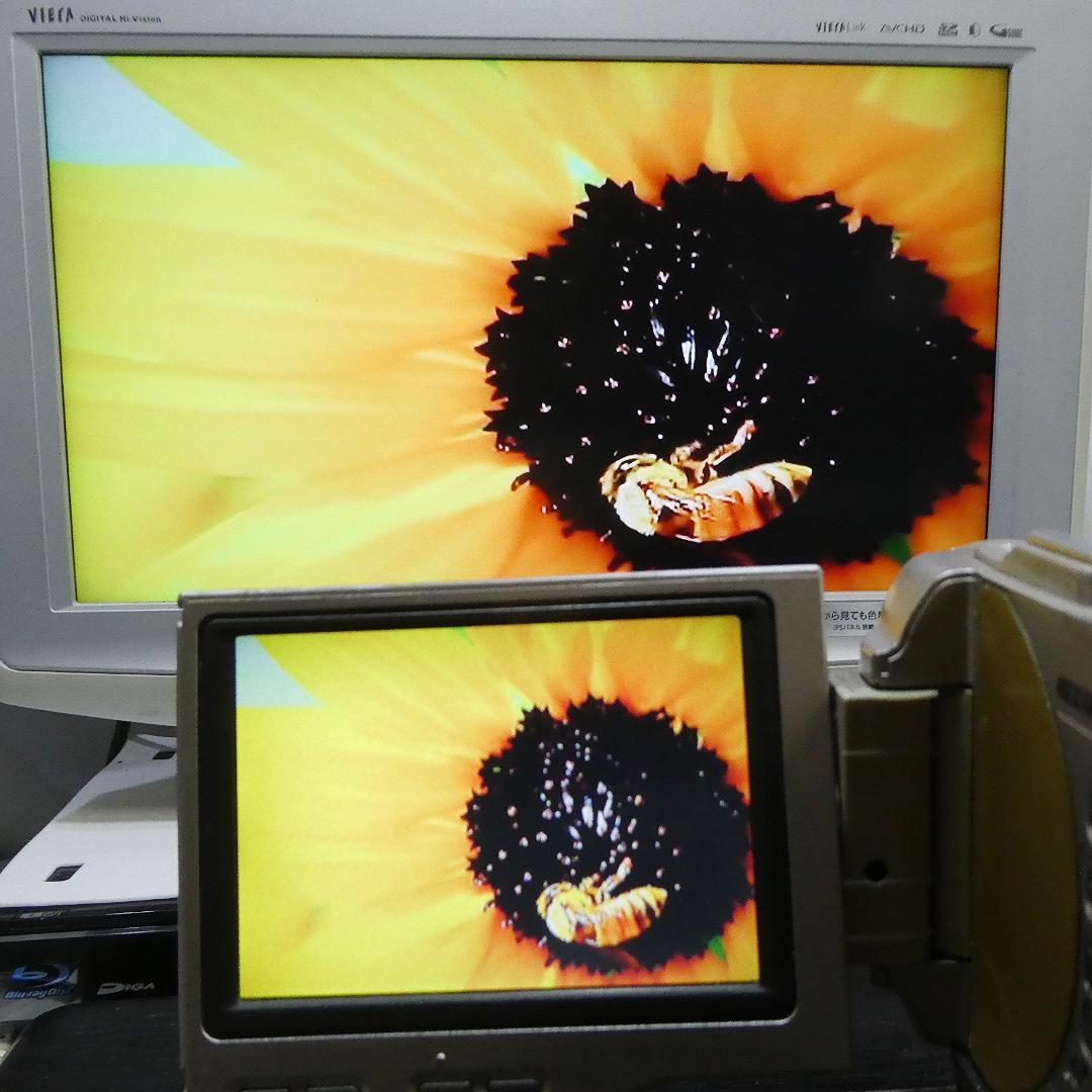 動作良好ソニーDCR-TRV10 MiniDVビデオカメラ DVDダビングに最適