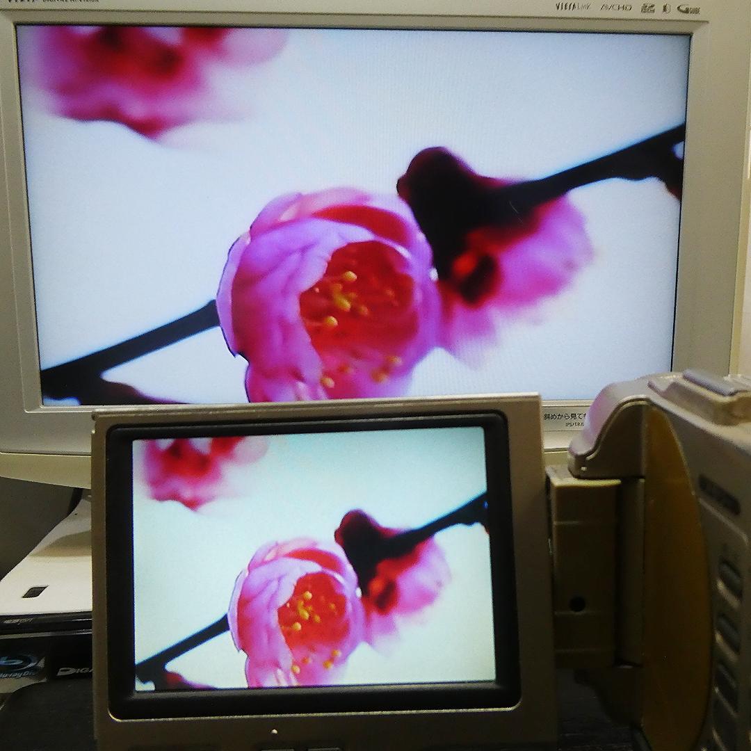 動作良好ソニーDCR-TRV10 MiniDVビデオカメラ DVDダビングに最適