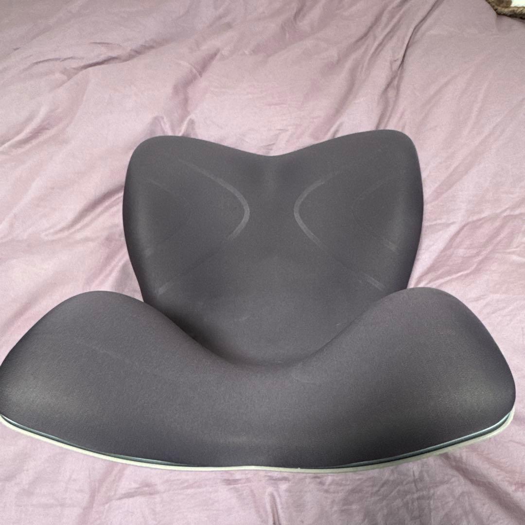 【美品2025年10月購入】StylePREMIUM スタイルプレミアムブラウン