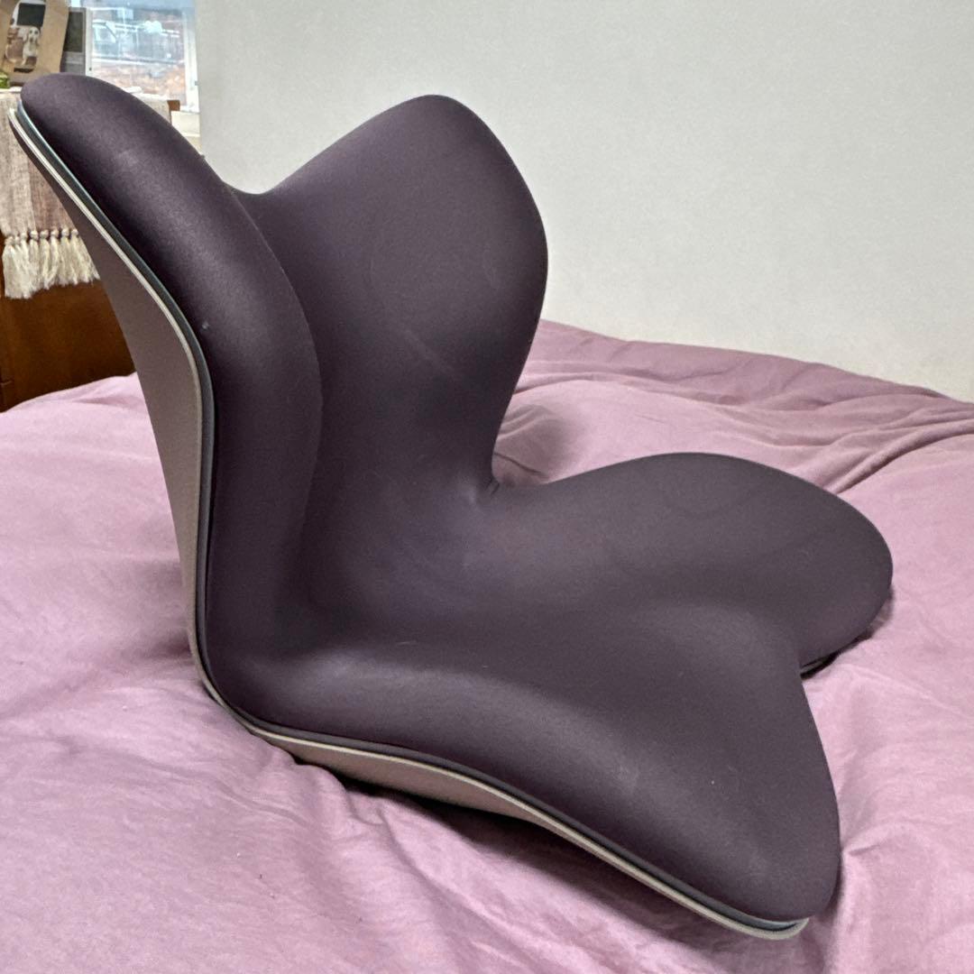 【美品2025年10月購入】StylePREMIUM スタイルプレミアムブラウン