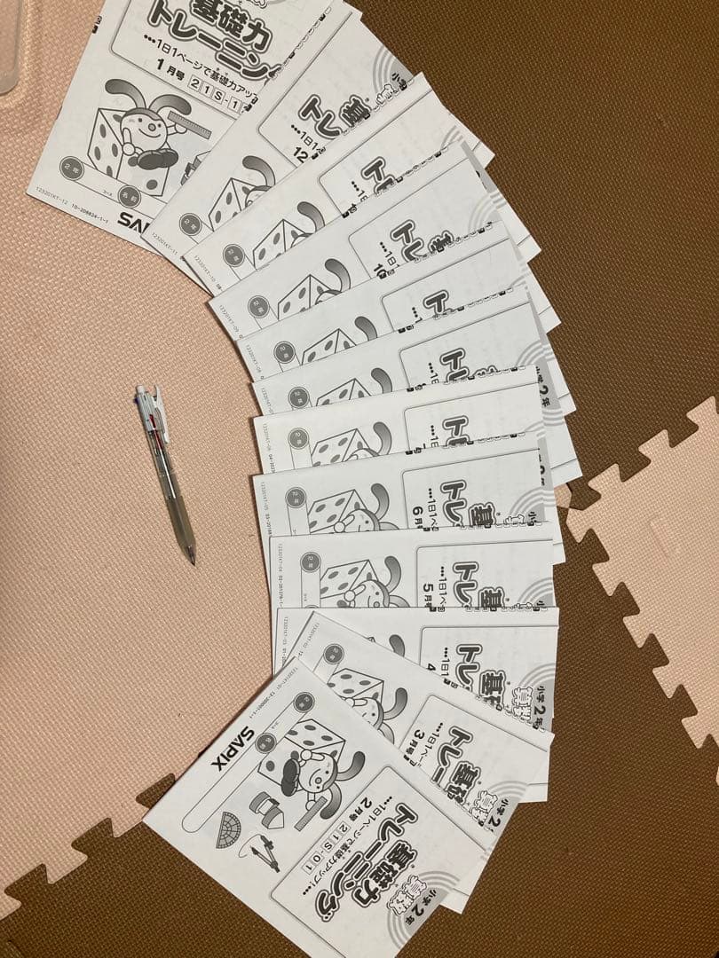 サピックス　2年生　12ヶ月分