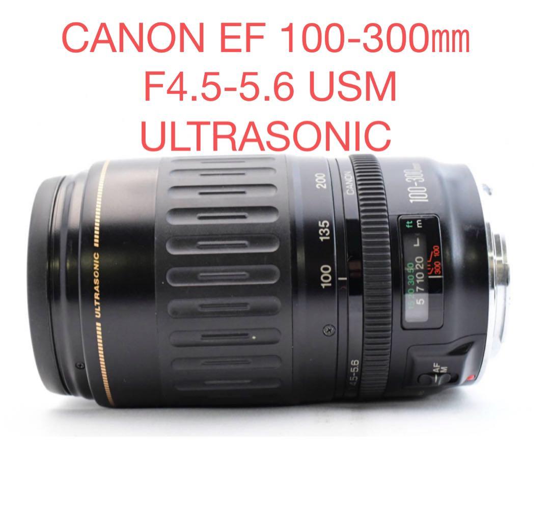 イベント/スポーツ観戦/Canon EF100-300㎜F4.5-5.6 USM