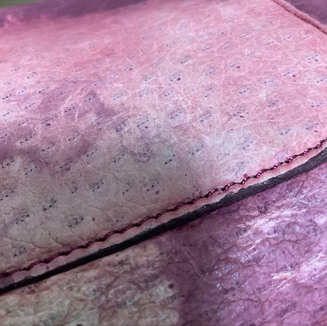 Ibiza イビザ　ペッカリー　ハンドバッグ