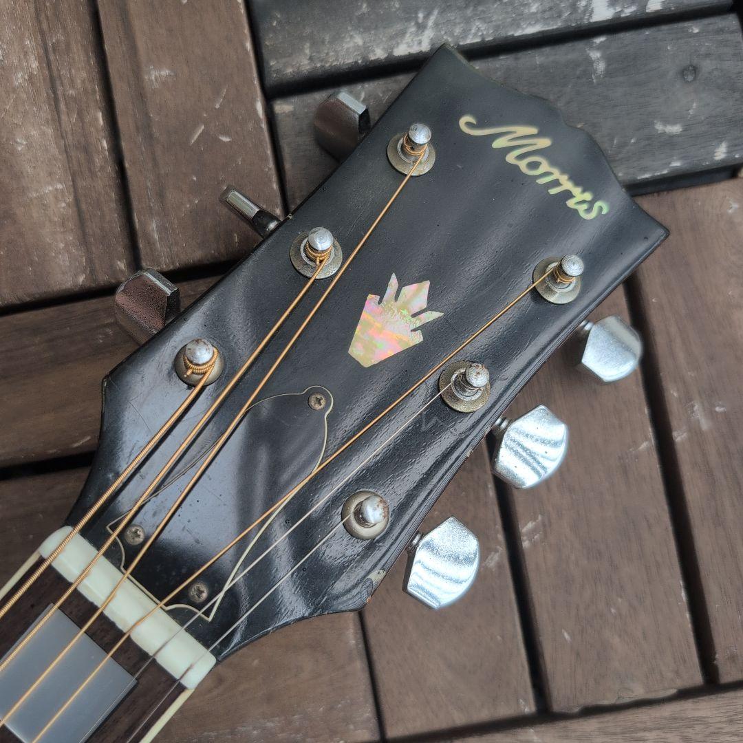 MORRIS ハミングバード WH−20 チェリーサンバースト！