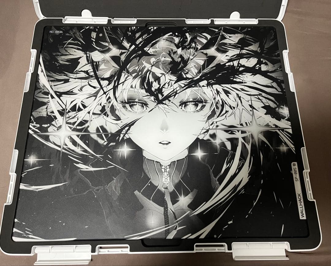 その他 Wallhack SP-005 Awakening Sora