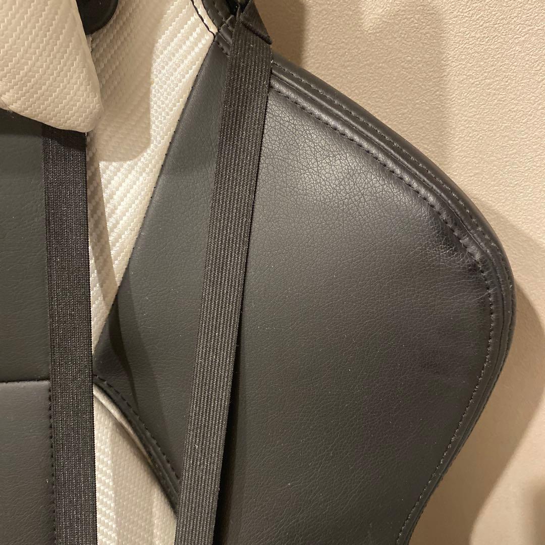 AKRACING プレミアムシルバー