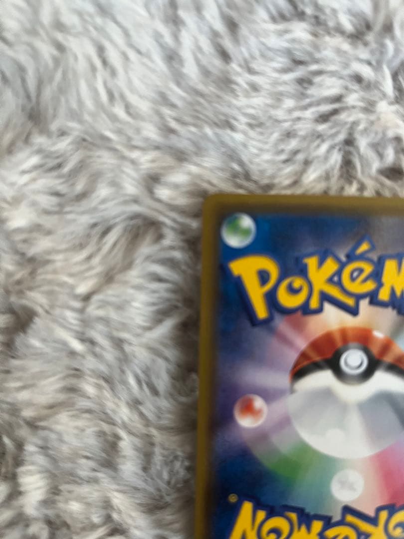 ポンチョを着たピカチュウ