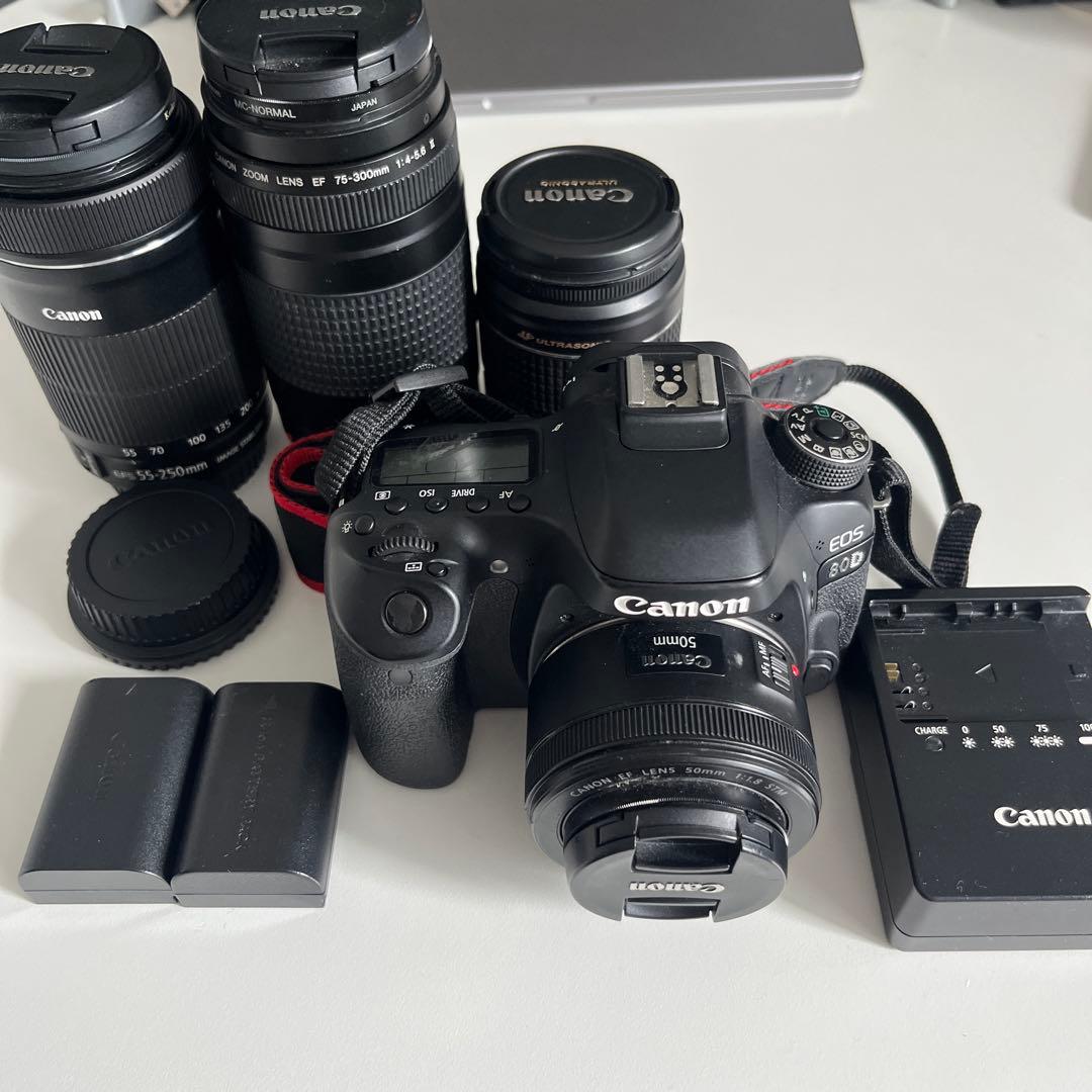 Canon EOS 80D デジタル一眼レフカメラ レンズ4本付き