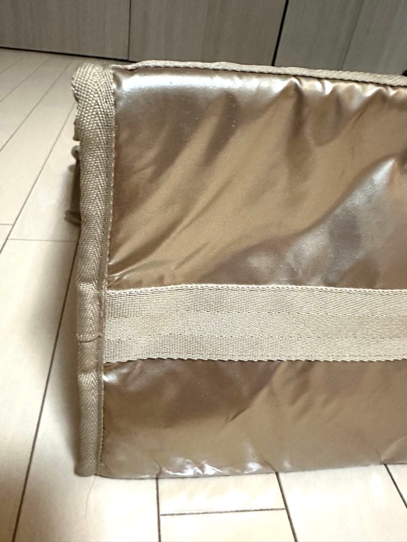 LeSportsac × ひとりっぷ® キャビンボストン2024年2月発売