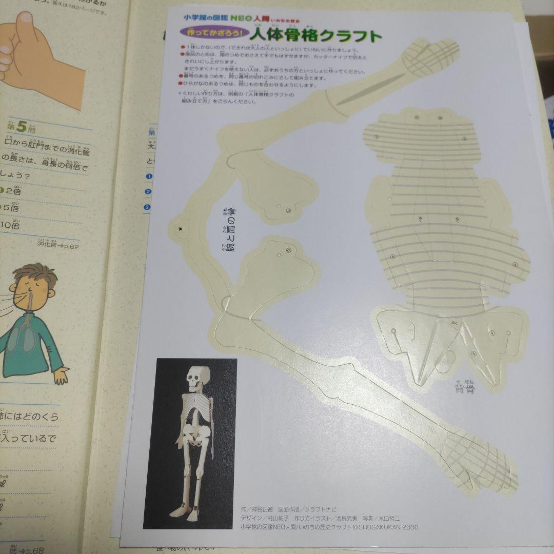 DVD付き　小学館の図鑑NEO　小学館の子ども図鑑プレNEO　計16冊セット