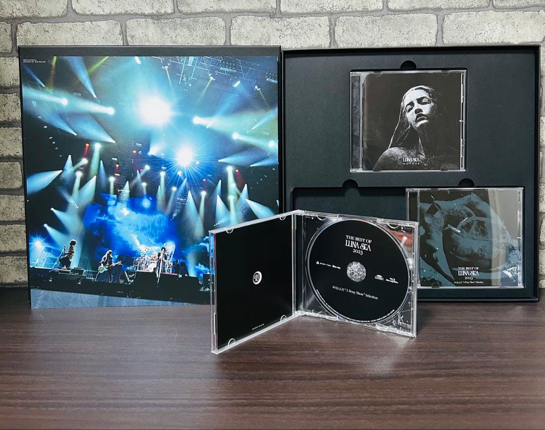 LUNA SEA MOTHER SLAVE 限定 PREMIUM BOX B