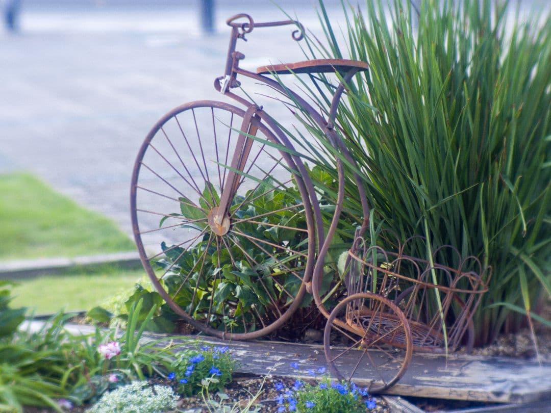 ZUNOW-ELMO Cine 38mm F1.1 Dマウントレンズ作例あり