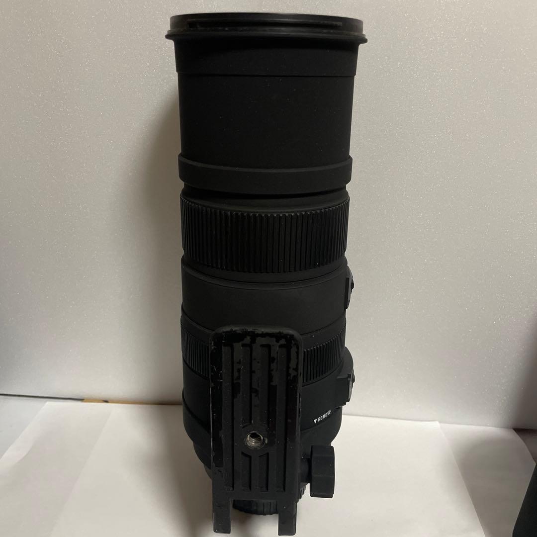 シグマ SIGMA APO 150-500mm F5-6.3 DG OS HSM