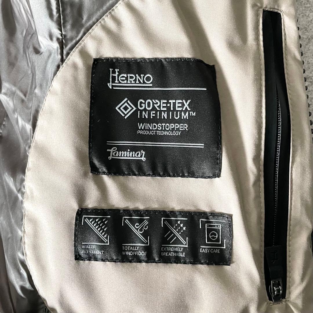 美品★ヘルノラミナー　ゴアテックス　ダウンコート　レディース　グレージュ系　38