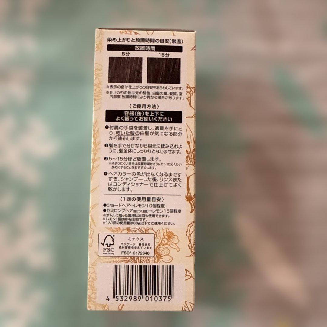 ヘアボーテ　エクラ　ボタニカル　エアカラーフォームEX ダークブラウン　2点