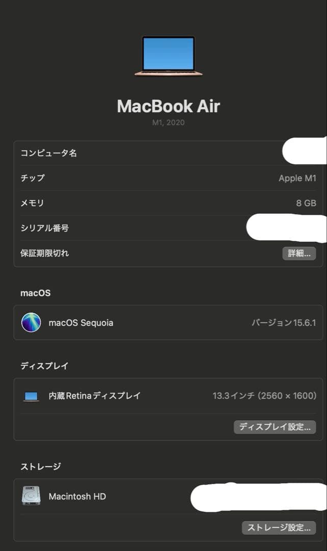 MacBook Air 2020 M1 8GB 256GBバッテリー容量94%