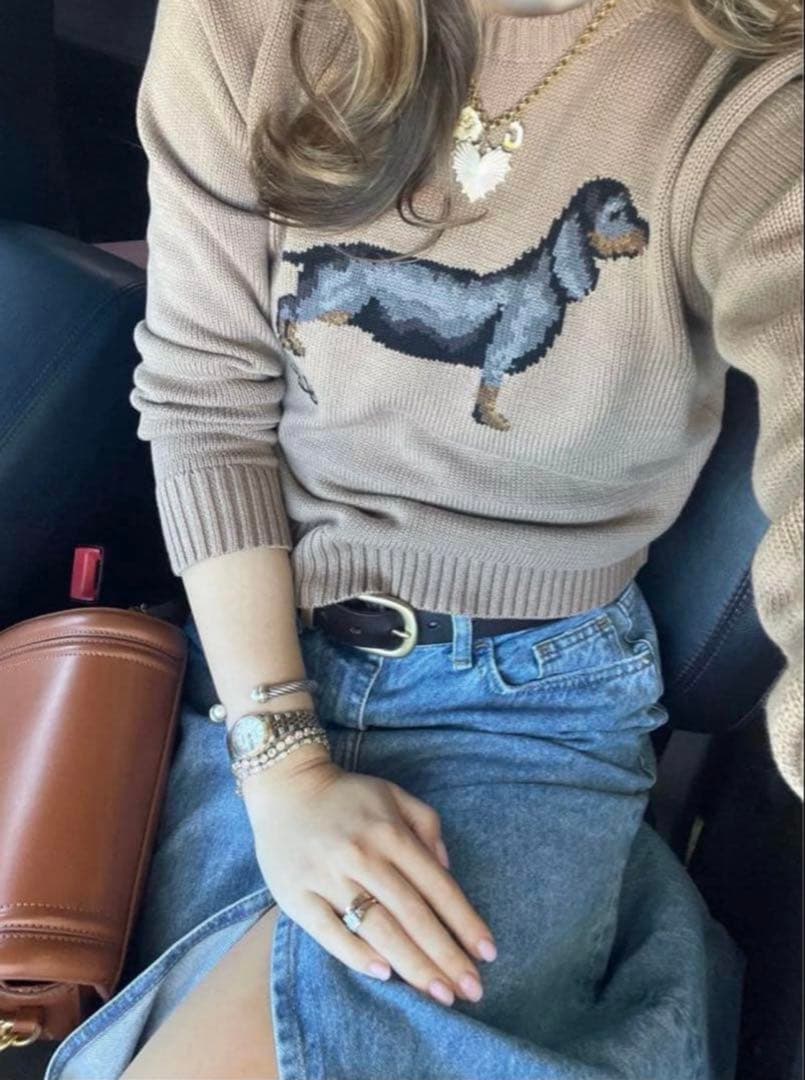 poloラルフローレン　ニット　犬　ダックス