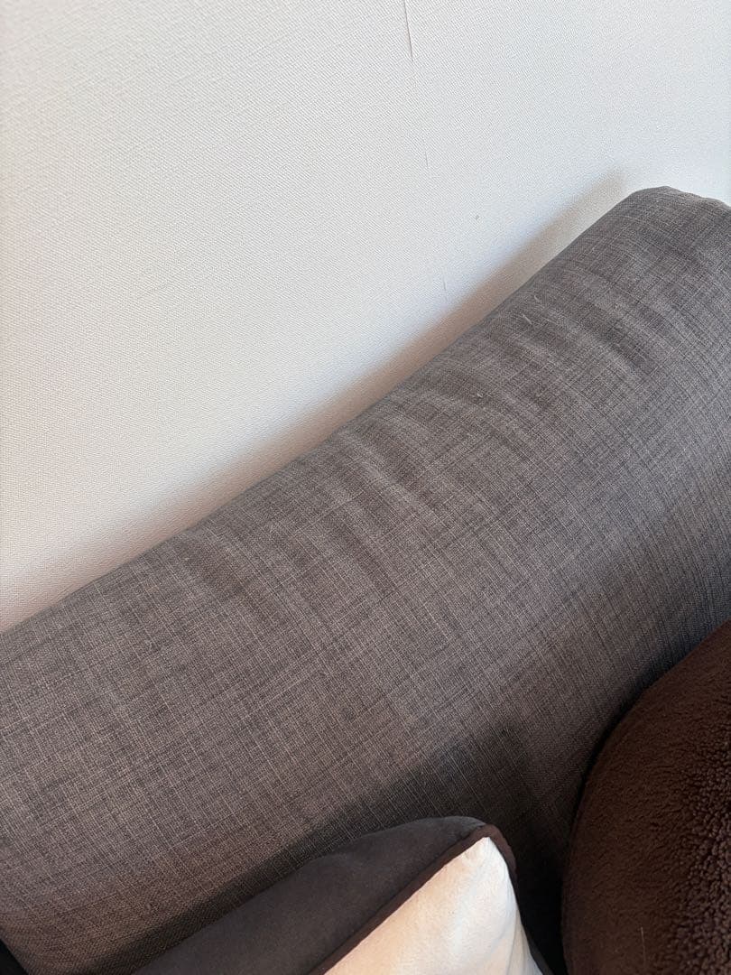 引き取り限定　IKEA フリーヘーテンソファベッド　おまけ付き