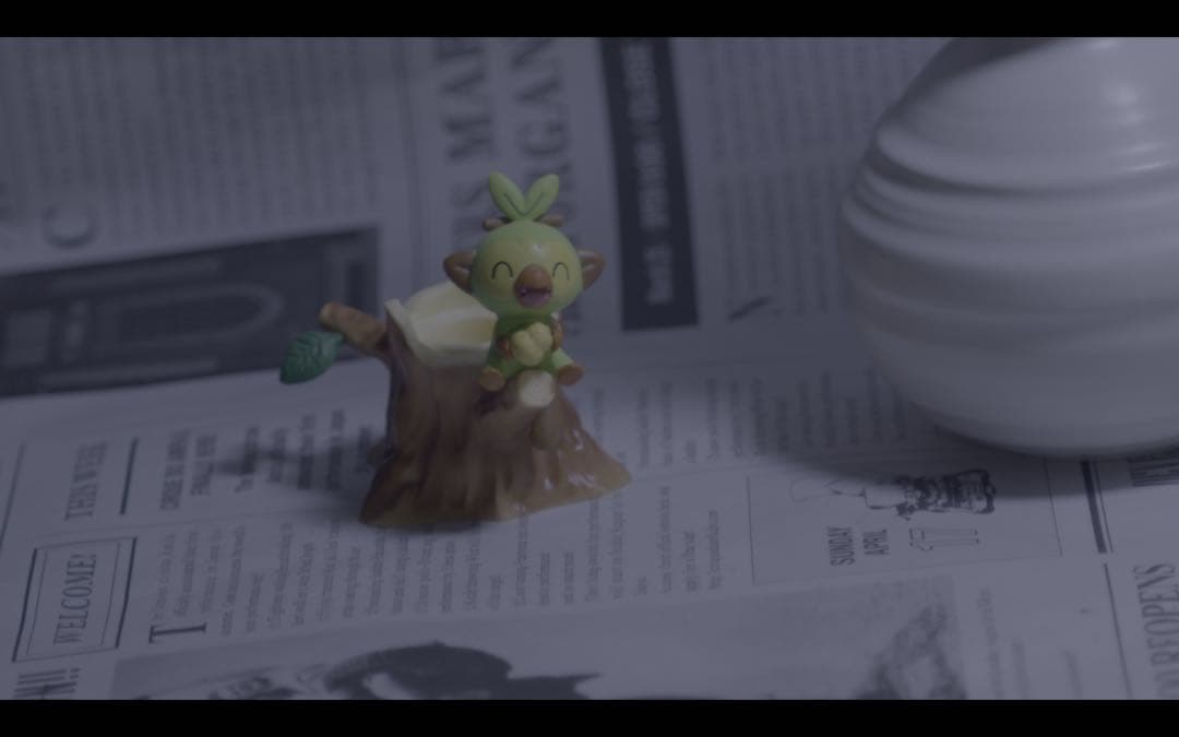 最大F90 Polaroid YASHINON 127mm f4.7