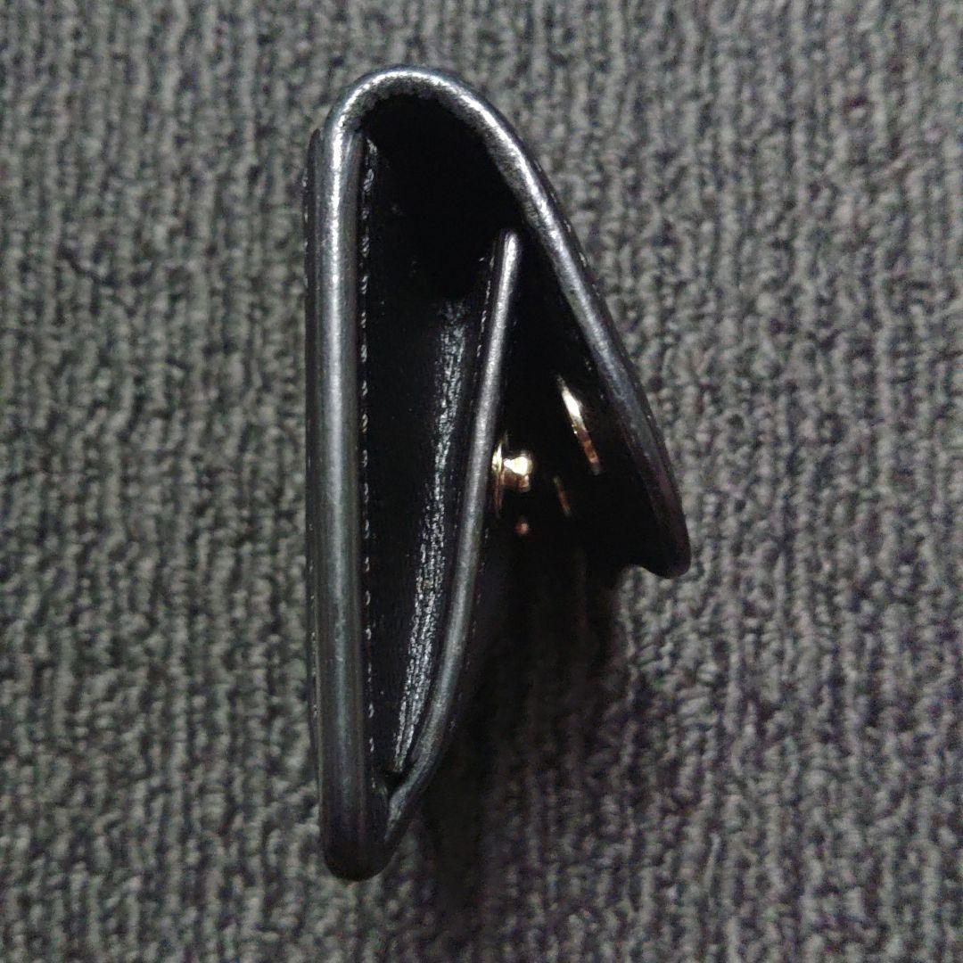 小物 WILDSWANS TONGUE/GL/BLXESD/BK