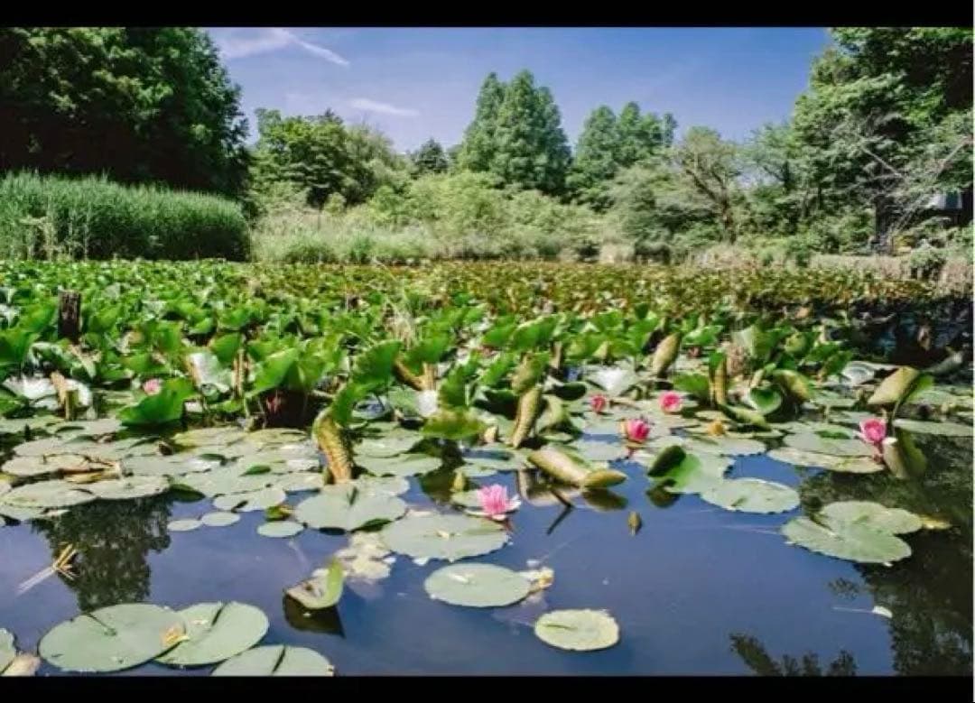 美品 Kiron 28mm F2 オールドレンズ