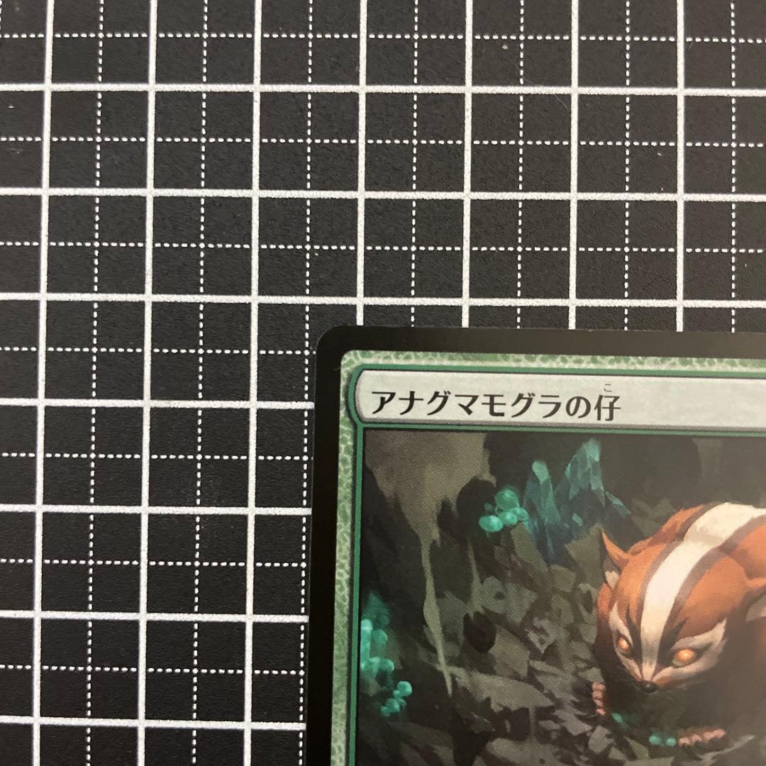 アナグマモグラの仔/Badgermole Cub