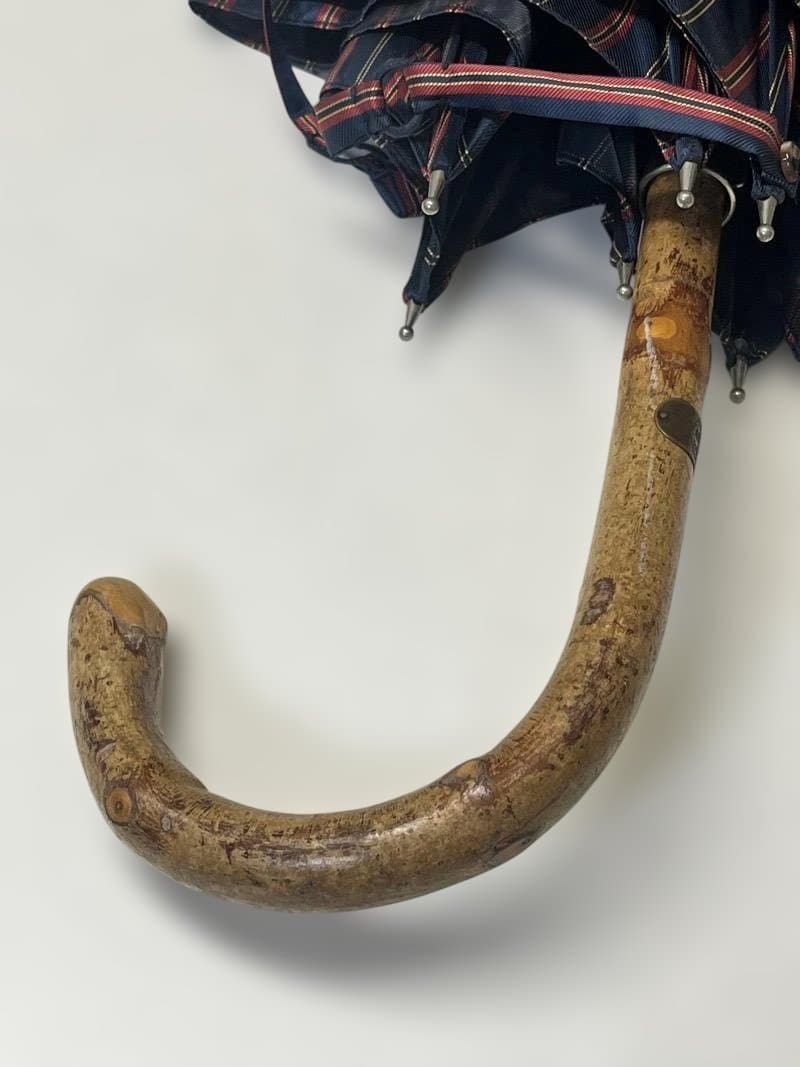 マリオタラリコ 傘