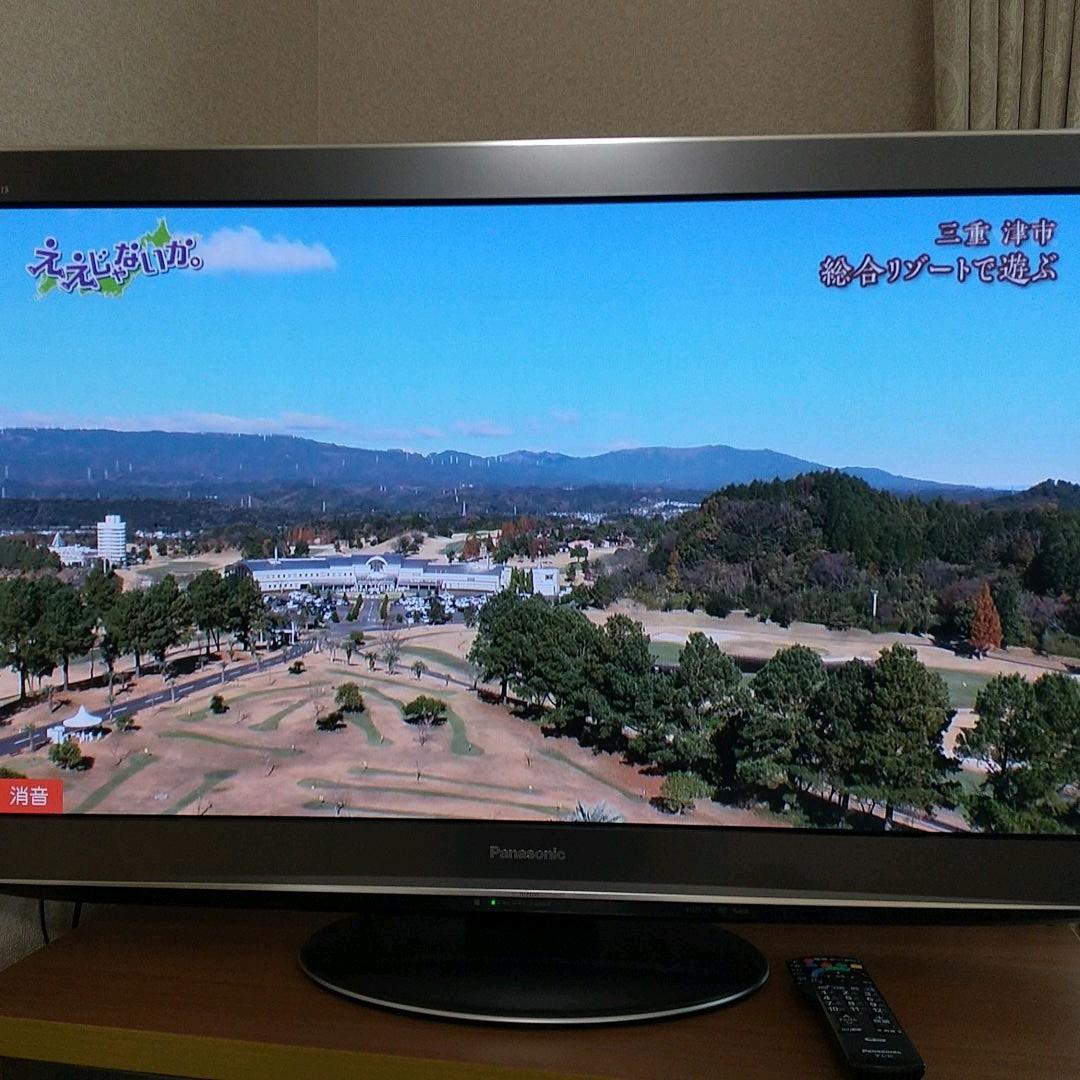 パナソニック ビエラ プラズマテレビ