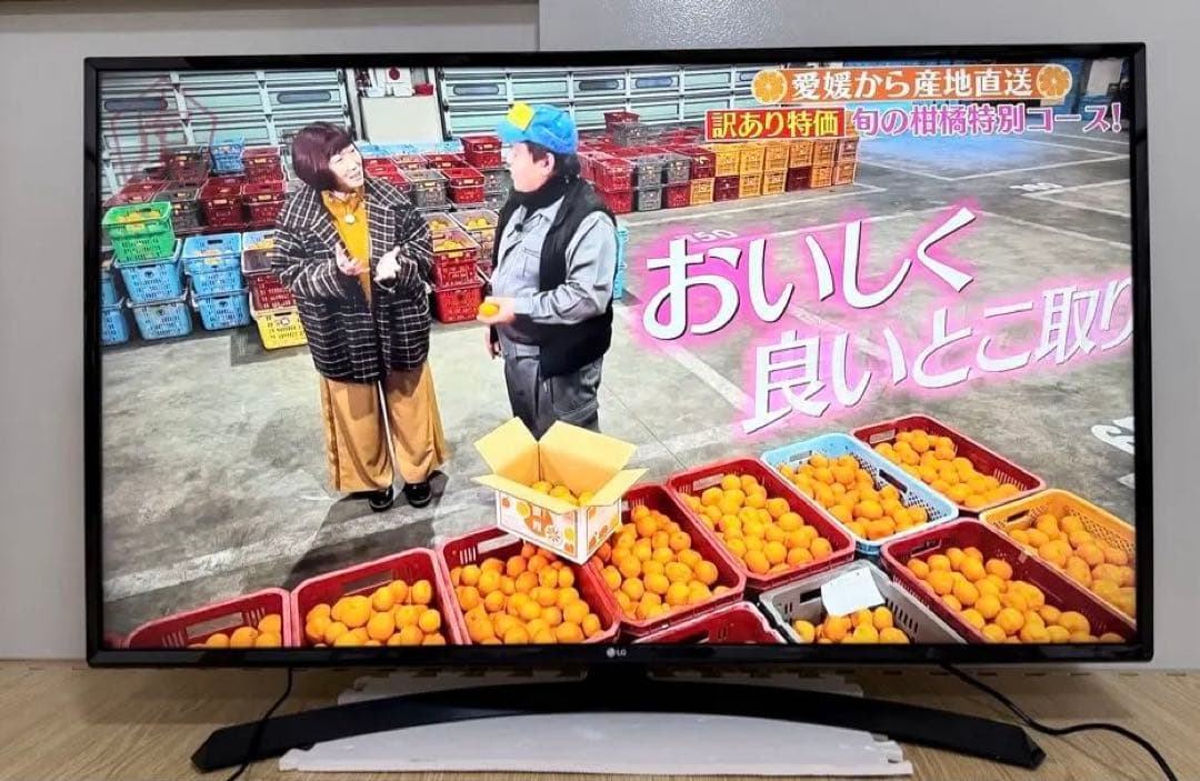 LG 49UJ630A 49インチ　2017年製⭕️4Kネット動画テレビ