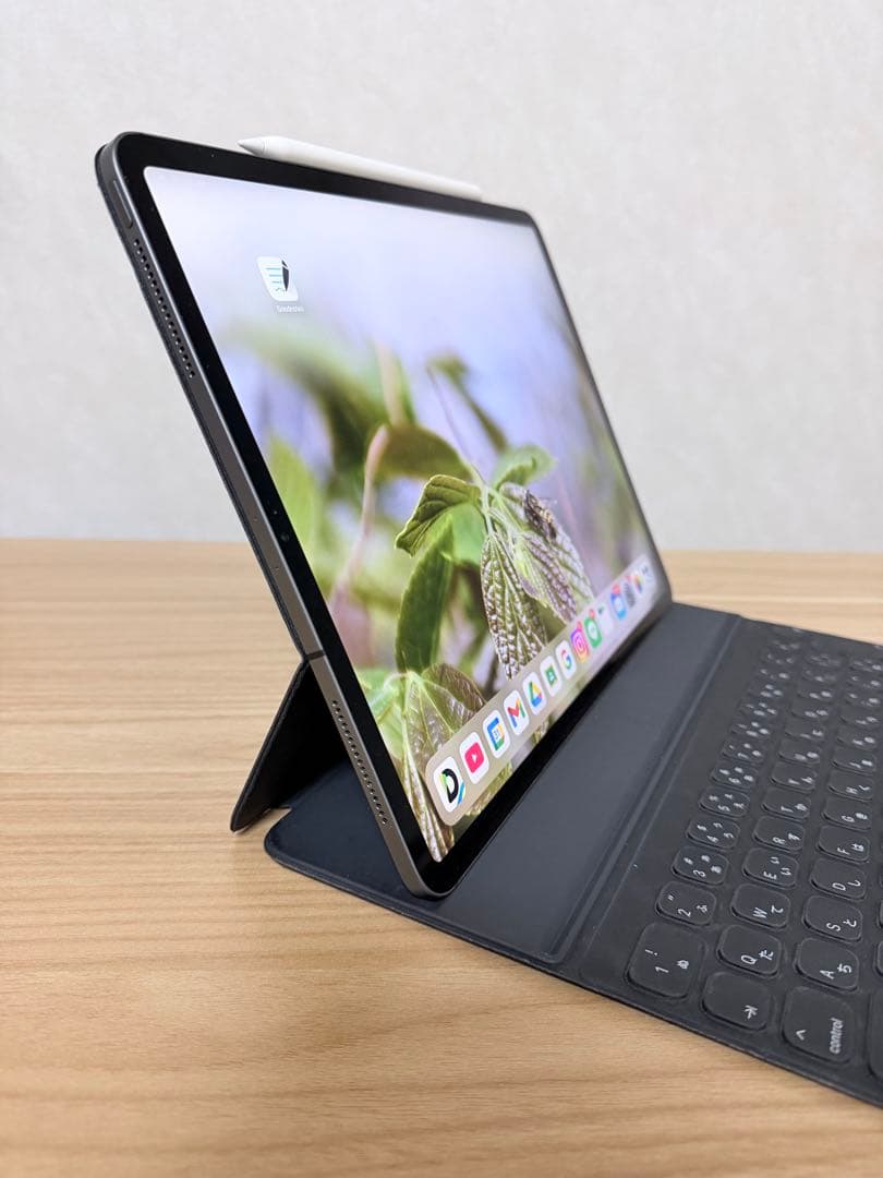 iPad Pro 12.9 512GB Wi-Fi + Cellular モデル