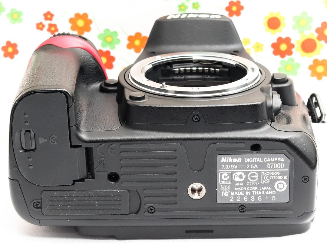 ニコン Nikon D7000☆スマホに転送可♪☆超望遠レンズ付き☆一眼レフ