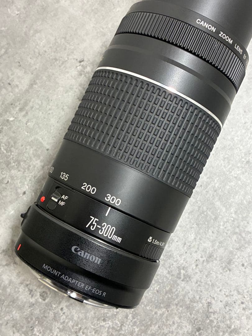 ⭐️美品⭐️Canon EF 75-300 III & EF-EOS R アダプター