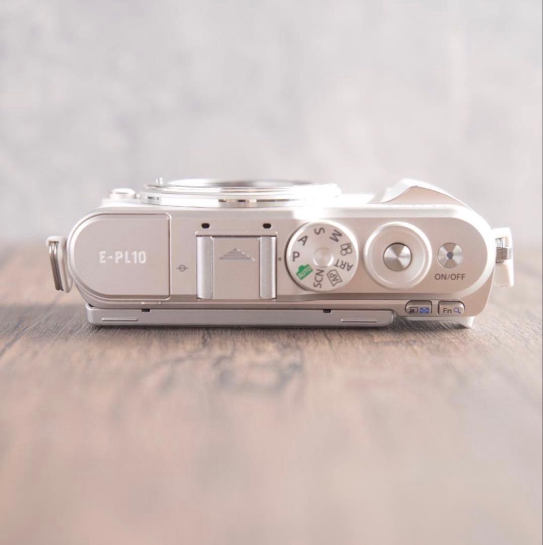m　ショット数517回 美品　OLYMPUS PEN E-PL10