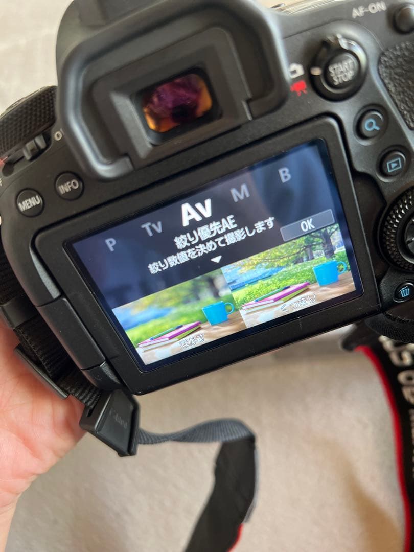 Canon EOS 6D Mark II デジタル一眼レフ　フルセット