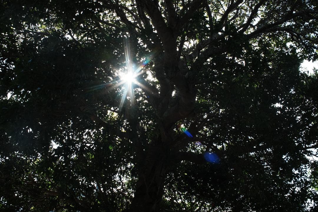 【希少富岡光学製】動作◎ XR RIKENON 35mm f2.8 718