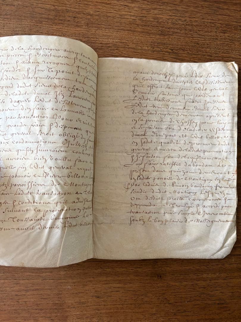 【アンティーク】羊皮紙 全12ページ綴1656年フランス 古文書