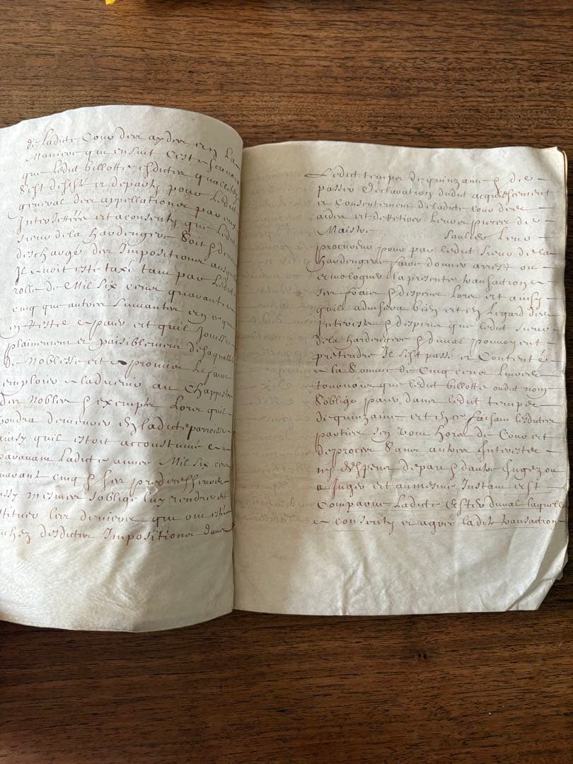 【アンティーク】羊皮紙 全12ページ綴1656年フランス 古文書