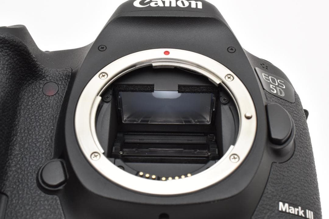 ■美品■Canon EOS 5D Mark III ボディ