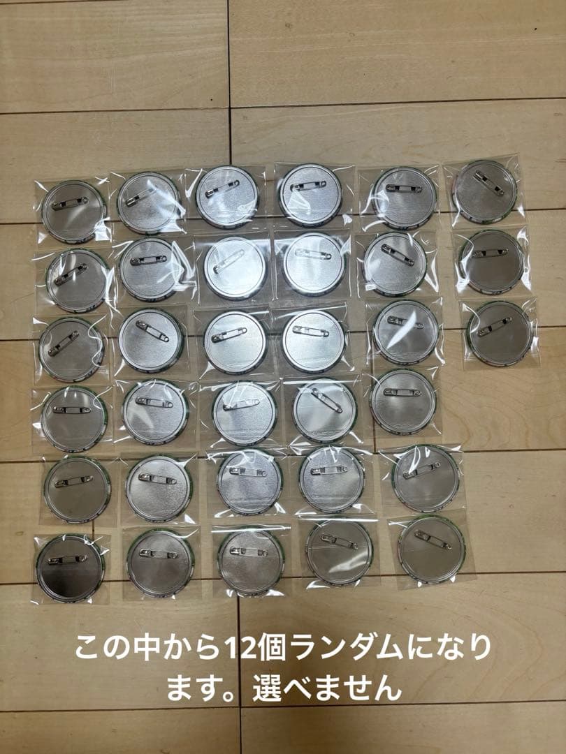 からぴち　カラフルピーチ　からぴちパラダイス2025 じゃぱぱ　缶バッジ