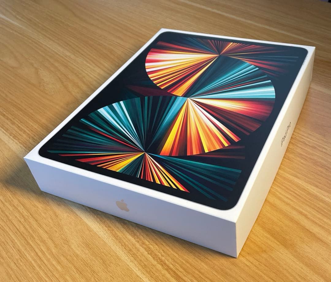 Apple PencilとiPad Pro 256GB 12.9インチ 第5世代