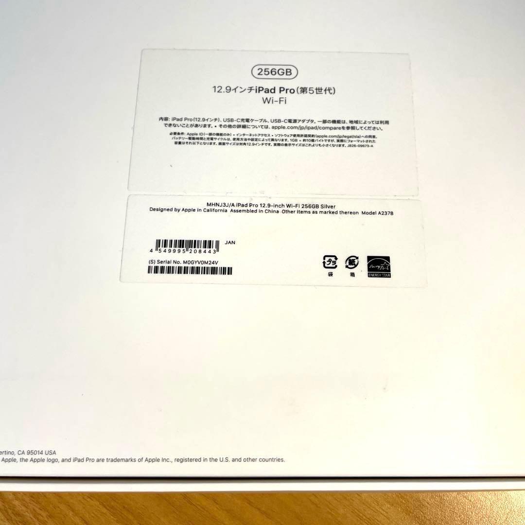 Apple PencilとiPad Pro 256GB 12.9インチ 第5世代