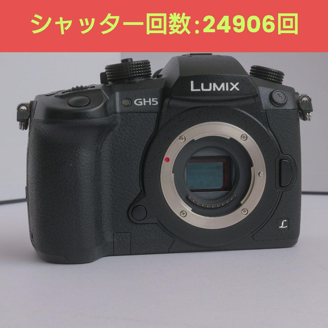lumix gh5　v-logアップデート済み　ストロボセット