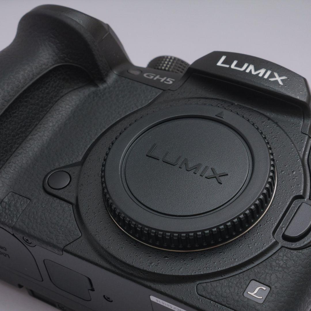 lumix gh5　v-logアップデート済み　ストロボセット