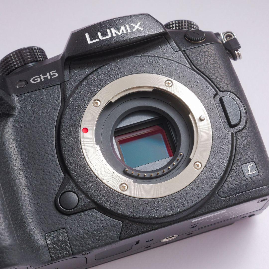 lumix gh5　v-logアップデート済み　ストロボセット